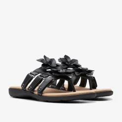Elizabelle Mae Black Combination