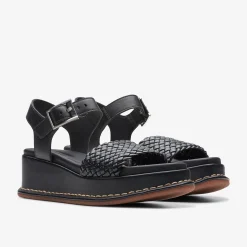 Kimmei Bay Black